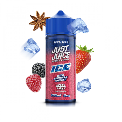 JUST JUICE 100ML