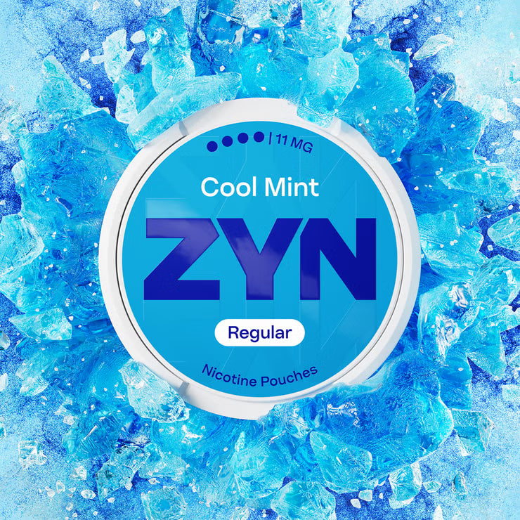 ZYN NIC POUCHES