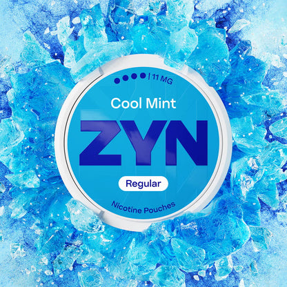 ZYN NIC POUCHES