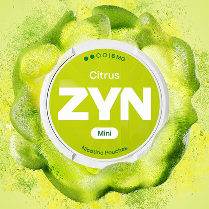 ZYN NIC POUCHES