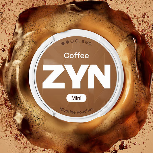 ZYN NIC POUCHES
