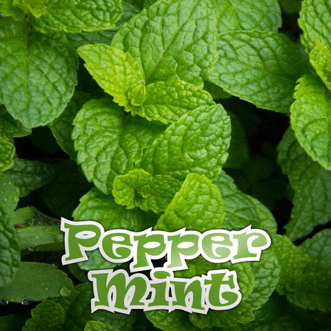 PEPPERMINT